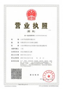 business licence